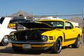 IMG_6345.jpg